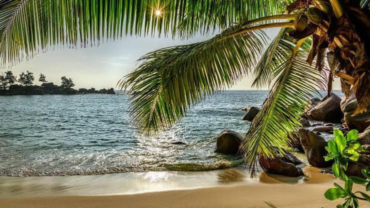 Baga Beach Prime Екстериор снимка